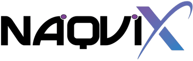 NaqviX logo