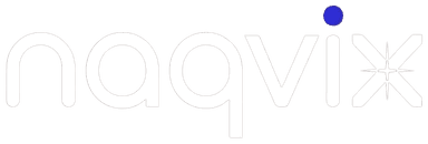 Naqvix Logo